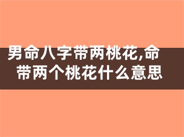 男命八字带两桃花,命带两个桃花什么意思