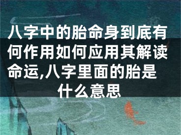 八字中的胎命身到底有何作用如何应用其解读命运,八字里面的胎是什么意思