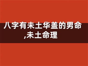 八字有未土华盖的男命,未土命理