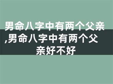 男命八字中有两个父亲,男命八字中有两个父亲好不好