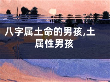 八字属土命的男孩,土属性男孩