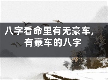 八字看命里有无豪车,有豪车的八字