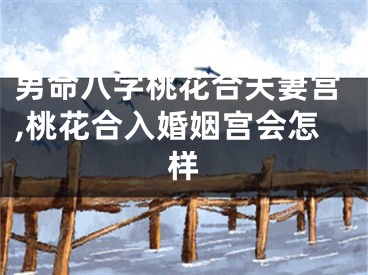 男命八字桃花合夫妻宫,桃花合入婚姻宫会怎样