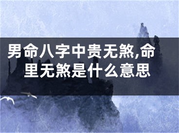 男命八字中贵无煞,命里无煞是什么意思