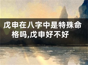 戊申在八字中是特殊命格吗,戊申好不好