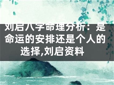刘启八字命理分析：是命运的安排还是个人的选择,刘启资料