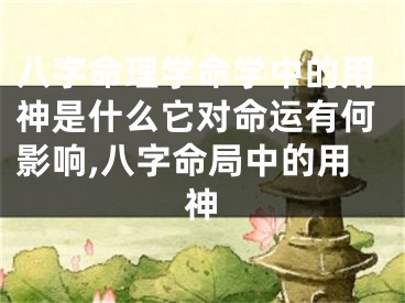 八字命理学命学中的用神是什么它对命运有何影响,八字命局中的用神