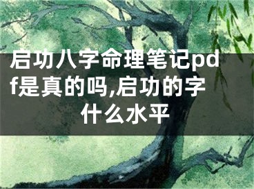 启功八字命理笔记pdf是真的吗,启功的字什么水平