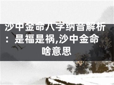 沙中金命八字纳音解析：是福是祸,沙中金命啥意思