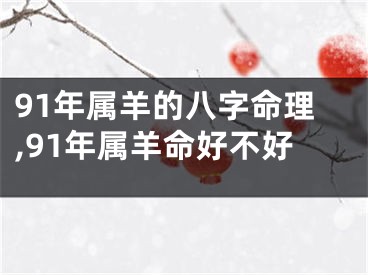 91年属羊的八字命理,91年属羊命好不好
