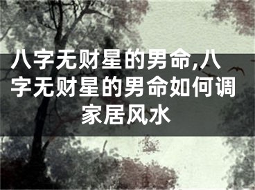 八字无财星的男命,八字无财星的男命如何调家居风水