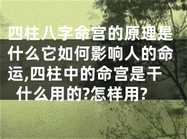 四柱八字命宫的原理是什么它如何影响人的命运,四柱中的命宫是干什么用的?怎样用?