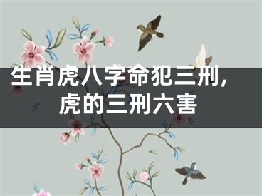 生肖虎八字命犯三刑,虎的三刑六害