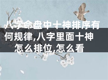 八字命盘中十神排序有何规律,八字里面十神怎么排位,怎么看