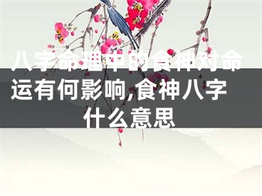 八字命理中的食神对命运有何影响,食神八字什么意思