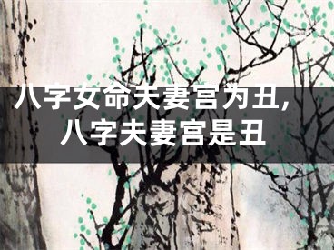 八字女命夫妻宫为丑,八字夫妻宫是丑