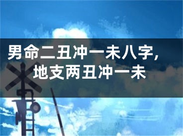 男命二丑冲一未八字,地支两丑冲一未