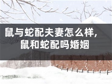 鼠与蛇配夫妻怎么样,鼠和蛇配吗婚姻