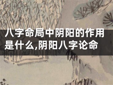 八字命局中阴阳的作用是什么,阴阳八字论命