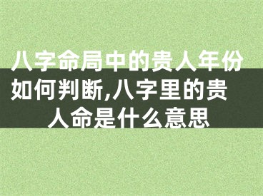 八字命局中的贵人年份如何判断,八字里的贵人命是什么意思