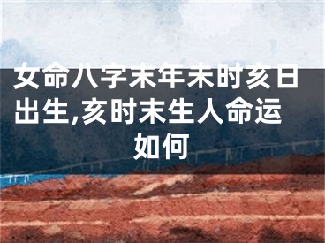 女命八字末年未时亥日出生,亥时末生人命运如何