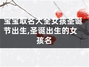 宝宝取名大全女孩圣诞节出生,圣诞出生的女孩名