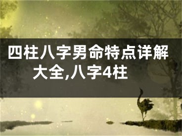 四柱八字男命特点详解大全,八字4柱