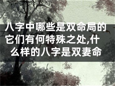 八字中哪些是双命局的它们有何特殊之处,什么样的八字是双妻命