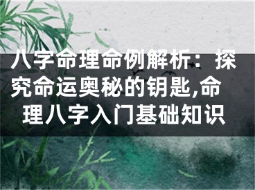 八字命理命例解析：探究命运奥秘的钥匙,命理八字入门基础知识