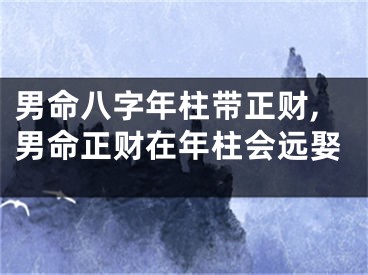 男命八字年柱带正财,男命正财在年柱会远娶