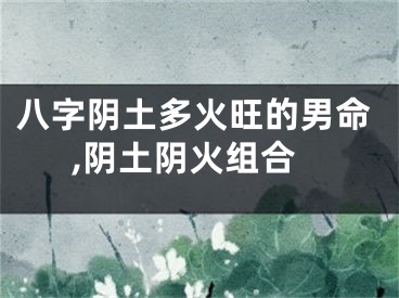八字阴土多火旺的男命,阴土阴火组合