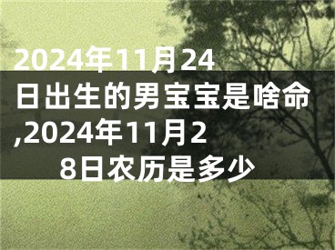 2024年11月24日出生的男宝宝是啥命,2024年11月28日农历是多少