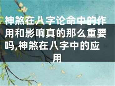 神煞在八字论命中的作用和影响真的那么重要吗,神煞在八字中的应用