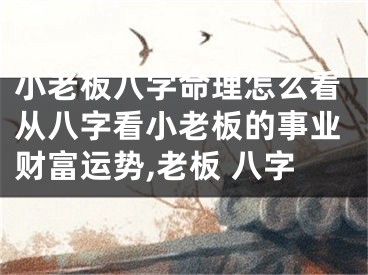 小老板八字命理怎么看从八字看小老板的事业财富运势,老板 八字