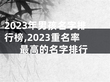 2023年男孩名字排行榜,2023重名率最高的名字排行