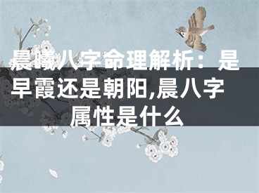 晨曦八字命理解析：是早霞还是朝阳,晨八字属性是什么