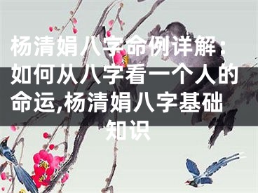 杨清娟八字命例详解：如何从八字看一个人的命运,杨清娟八字基础知识