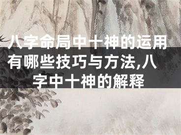 八字命局中十神的运用有哪些技巧与方法,八字中十神的解释