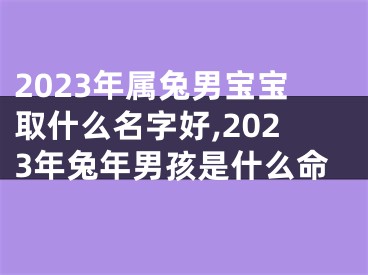 2023年属兔男宝宝取什么名字好,2023年兔年男孩是什么命