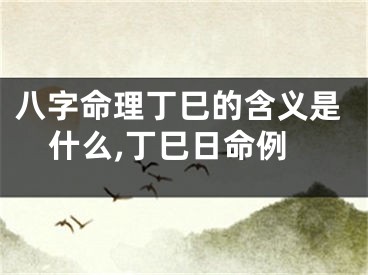 八字命理丁巳的含义是什么,丁巳日命例