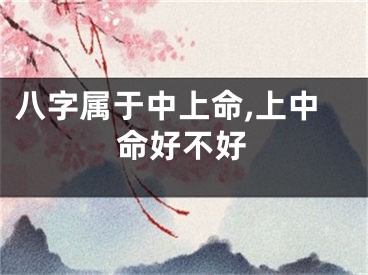 八字属于中上命,上中命好不好