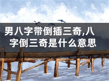 男八字带倒插三奇,八字倒三奇是什么意思