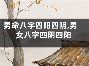 男命八字四阳四阴,男女八字四阴四阳