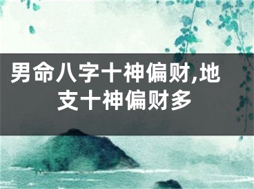 男命八字十神偏财,地支十神偏财多