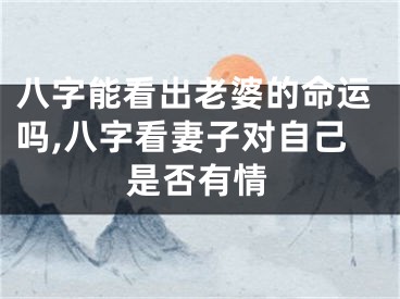 八字能看出老婆的命运吗,八字看妻子对自己是否有情