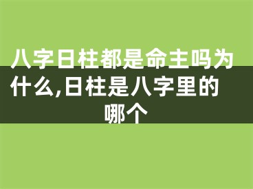 八字日柱都是命主吗为什么,日柱是八字里的哪个