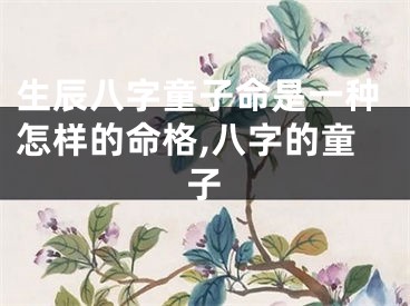 生辰八字童子命是一种怎样的命格,八字的童子