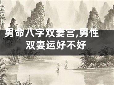 男命八字双妻宫,男性双妻运好不好