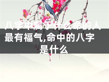 八字中属于什么命的人最有福气,命中的八字是什么