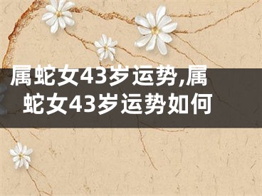 属蛇女43岁运势,属蛇女43岁运势如何